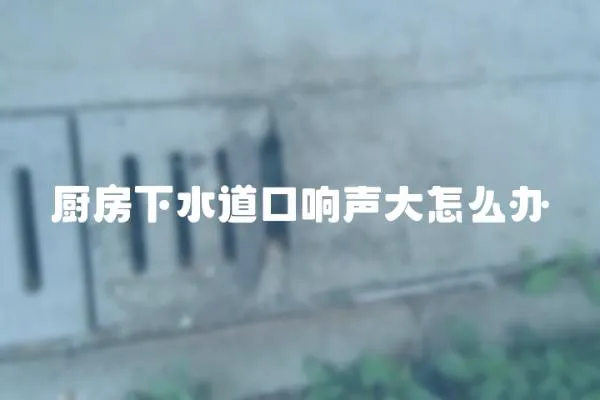 廚房下水道口響聲大怎么辦