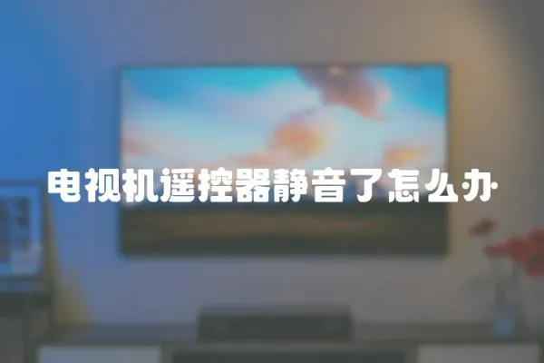 電視機遙控器靜音了怎么辦