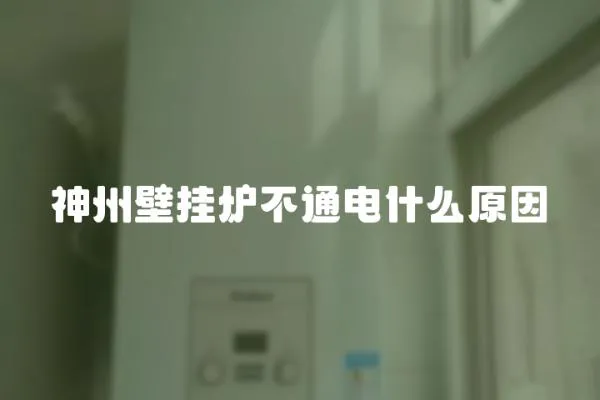 神州壁掛爐不通電什么原因