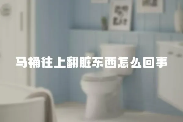 馬桶往上翻臟東西怎么回事