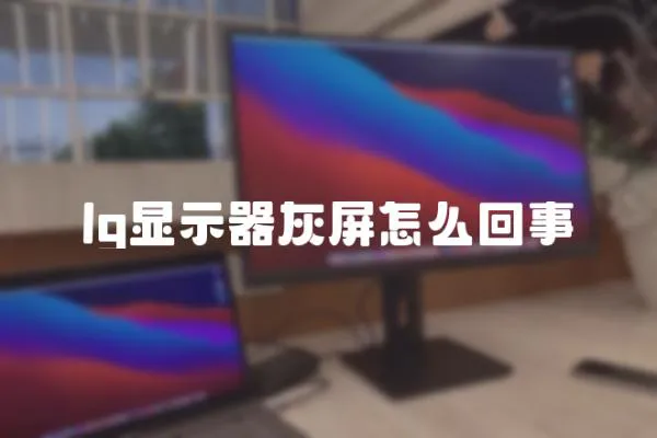 lg顯示器灰屏怎么回事