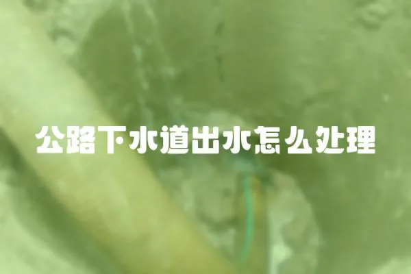 公路下水道出水怎么處理