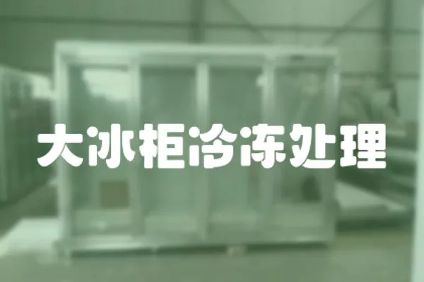 大冰柜冷凍處理