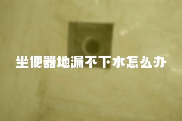 坐便器地漏不下水怎么辦