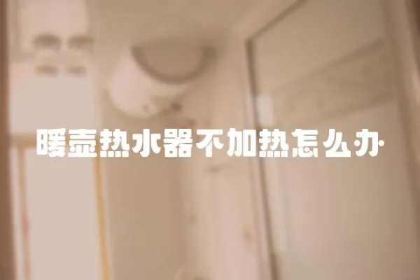 暖壺?zé)崴鞑患訜嵩趺崔k