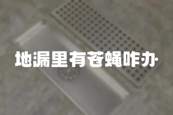 地漏里有蒼蠅咋辦