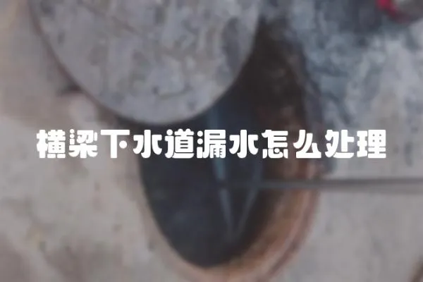 橫梁下水道漏水怎么處理
