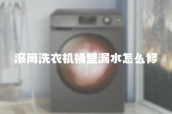 滾筒洗衣機桶壁漏水怎么修