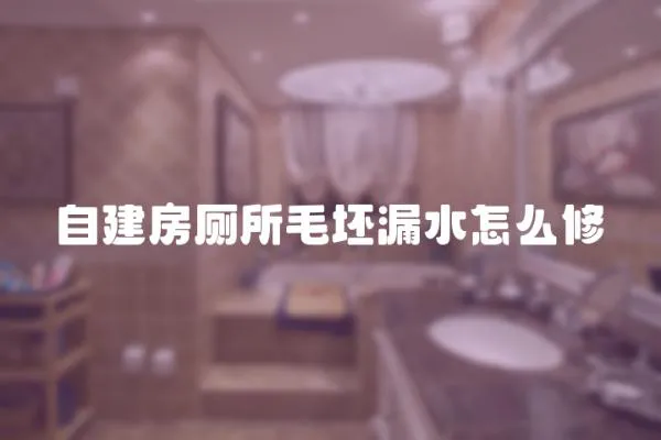 自建房廁所毛坯漏水怎么修