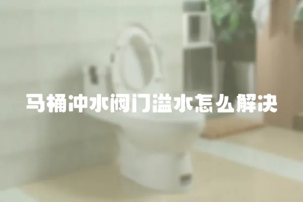 马桶冲水阀门溢水怎么解决