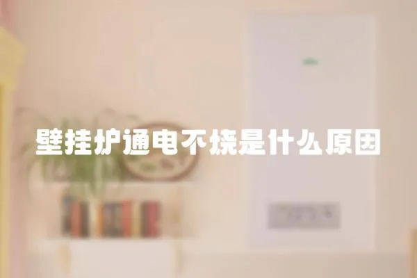 壁掛爐通電不燒是什么原因