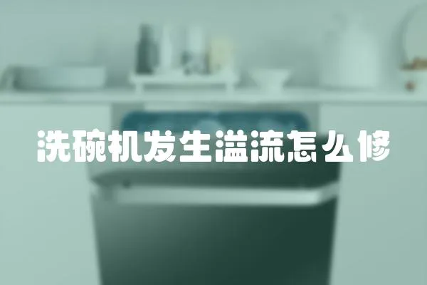 洗碗機發生溢流怎么修