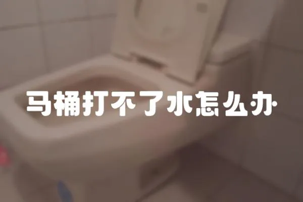 馬桶打不了水怎么辦