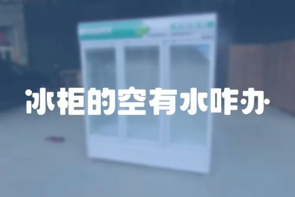 冰柜的空有水咋辦