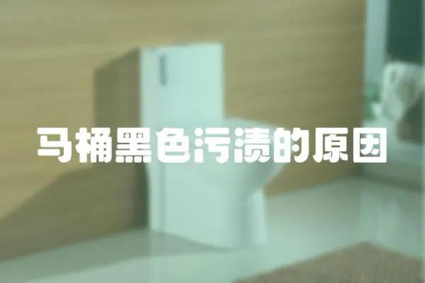 馬桶黑色污漬的原因