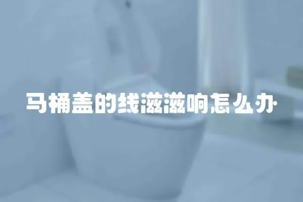 馬桶蓋的線滋滋響怎么辦