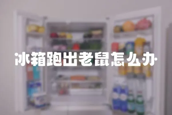 冰箱跑出老鼠怎么辦