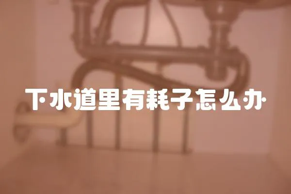 下水道里有耗子怎么辦