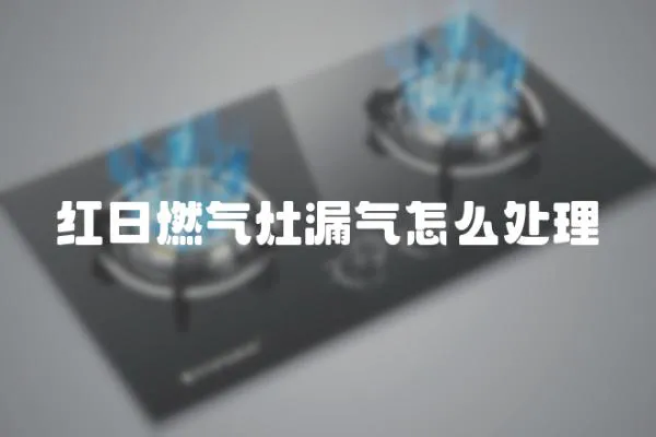 紅日燃氣灶漏氣怎么處理
