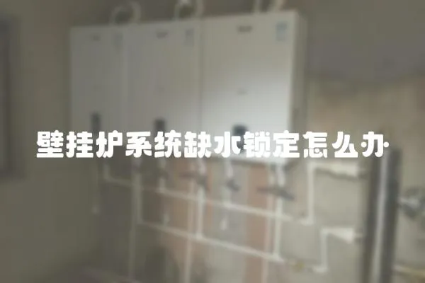 壁挂炉系统缺水锁定怎么办