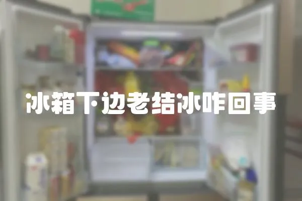 冰箱下邊老結冰咋回事