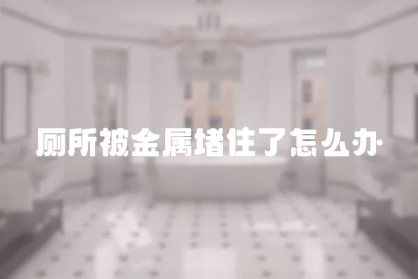 廁所被金屬堵住了怎么辦