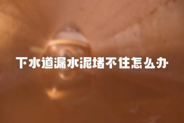 下水道漏水泥堵不住怎么辦