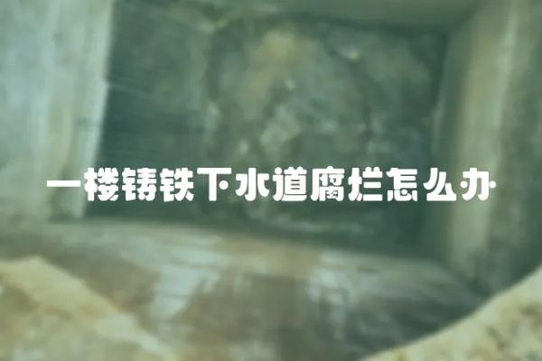 一樓鑄鐵下水道腐爛怎么辦