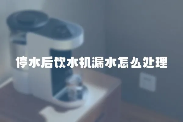停水后飲水機漏水怎么處理