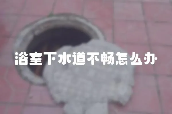 浴室下水道不暢怎么辦
