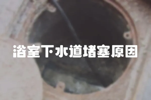 浴室下水道堵塞原因