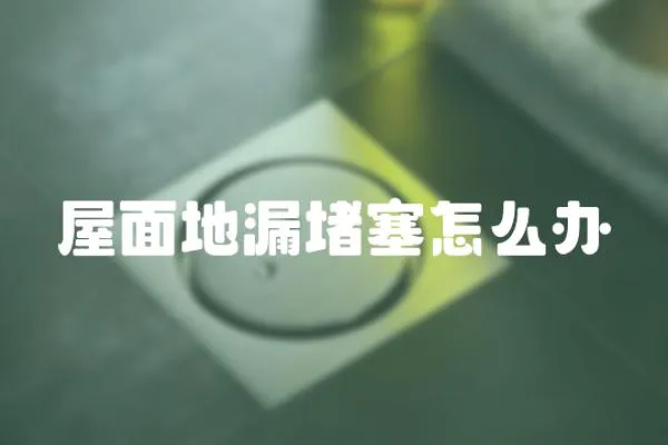 屋面地漏堵塞怎么辦