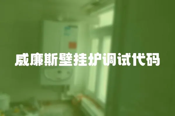 威廉斯壁掛爐調(diào)試代碼