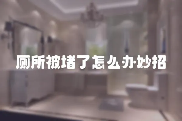 廁所被堵了怎么辦妙招