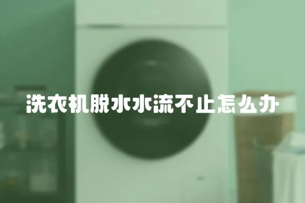 洗衣機(jī)脫水水流不止怎么辦