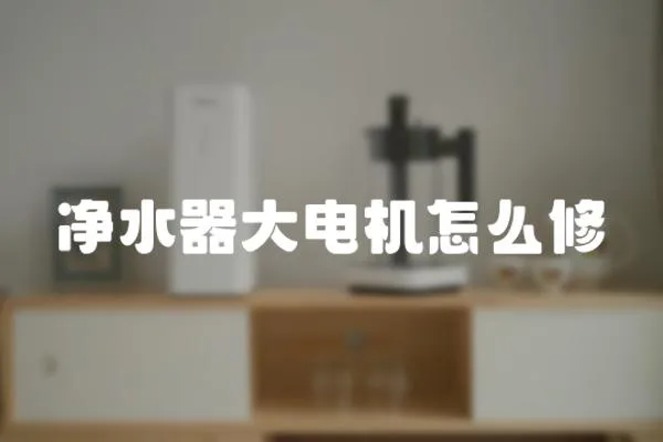 凈水器大電機怎么修
