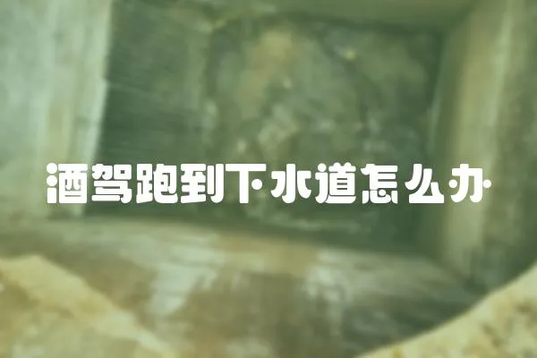 酒駕跑到下水道怎么辦