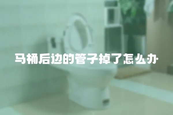 馬桶后邊的管子掉了怎么辦