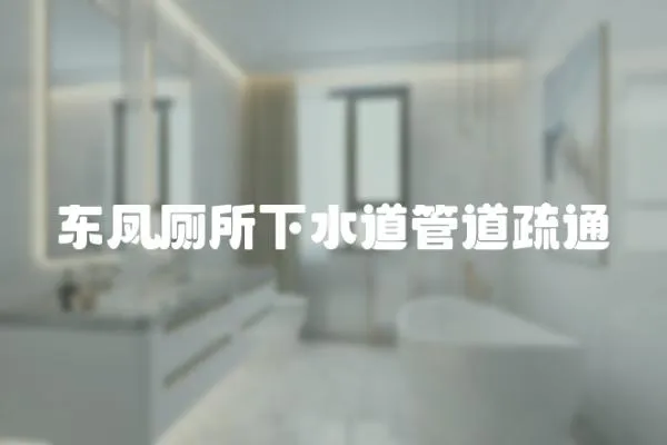 東鳳廁所下水道管道疏通