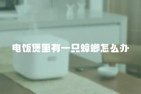 電飯煲里有一只蟑螂怎么辦