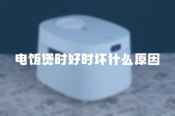 電飯煲時好時壞什么原因
