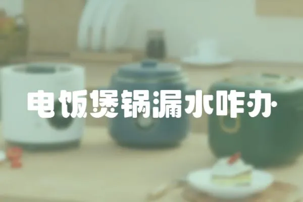 電飯煲鍋漏水咋辦