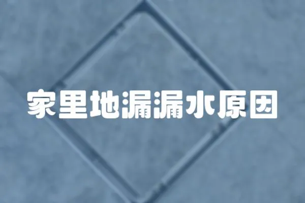 家里地漏漏水原因