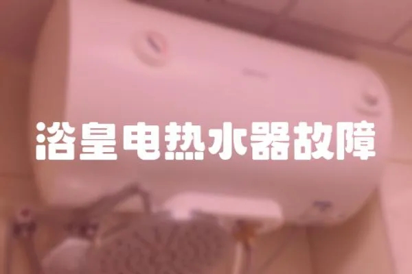 浴皇電熱水器故障