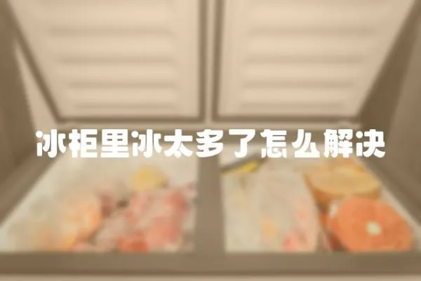 冰柜里冰太多了怎么解決