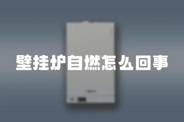 壁掛爐自燃怎么回事