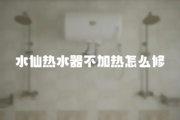 水仙熱水器不加熱怎么修