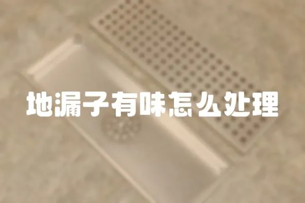 地漏子有味怎么處理