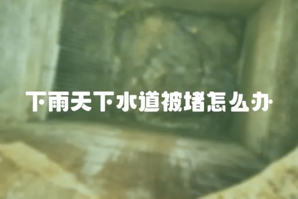 下雨天下水道被堵怎么辦