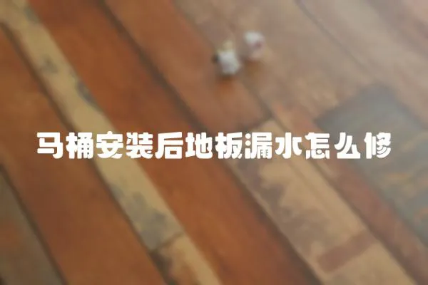 馬桶安裝后地板漏水怎么修